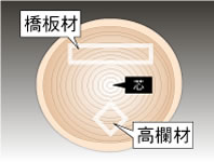 木材の仕様説明図